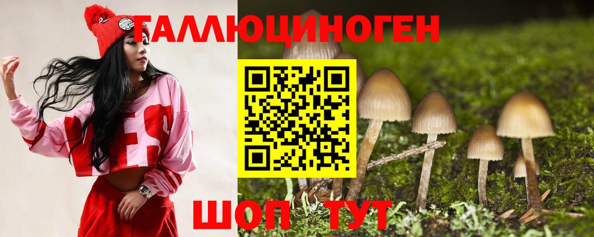 Волжск  Псилоцибиновые грибы ЛСД  Галлюциногенные грибы Psilocybine cubensis  Вход с VPN 